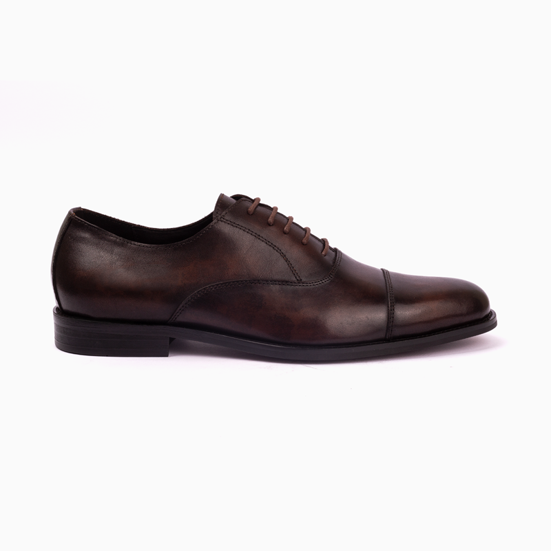 Special-Edition Oxford 551